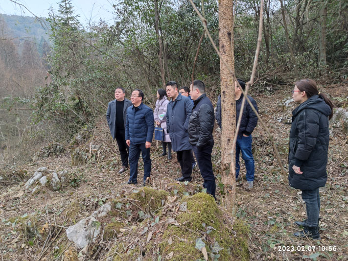 集團(tuán)公司總經(jīng)理鄧亞敏率隊(duì)考察望城坡文旅資源